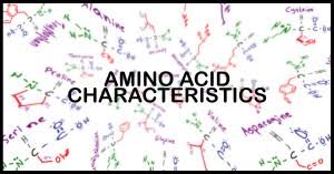 understanding amino acid side chain characteristics for the