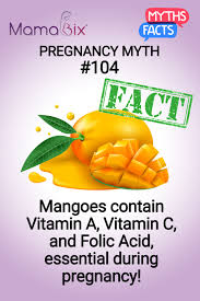 Pin On Pregnancy Myths Facts
