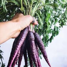 Check spelling or type a new query. For All Those That Ask Me What Dragon Carrots Are Or What Purple Carrots Actually Look Like This Here Is For You It S My Hol Carrot Hummus Carrots Hummus
