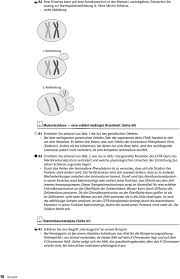 Natura Losungen Qualifikationsphase Bearbeitet Von Horst Bickel Anna Buntge Inka Montero Carsten Schmidt Petra Stock Pdf Kostenfreier Download