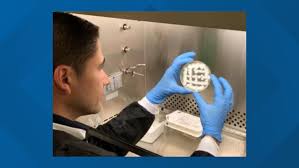 (@boulderpolice) march 22, 2021 a law enforcement source told abc news that officers responded to a report of someone shot in the parking area, and when they arrived at the scene, a suspect opened fire on them. Cu Boulder Students Studying Space Station Fungus Thanks To Nasa 9news Com