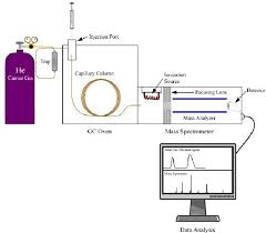 Schematic Of A Gc Ms System Download Scientific Diagram