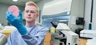 A convincing medical receptionist cover letter will instantly increase your chances of job search success. Medical Laboratory Technology Diploma