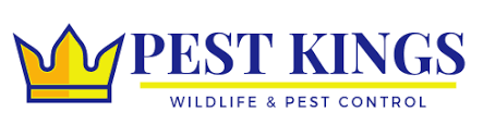 Get rid of squirrels, raccoons, and other nuisance wildlife today with aiken pest control! Home Pest Kings Wildlife And Pest Control