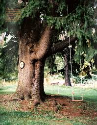 We did not find results for: Ikea Swing Nature Playground Tree Swing Dream Garden