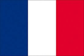 Image result for bandiere francesi