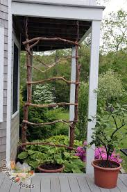 Make A Rustic Trellis For Annual Vines Diy Garden Trellis Rustic Trellis Diy Trellis