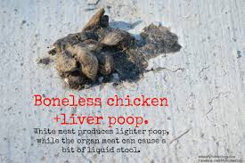 It has a fairly sudden onset and lasts a week or less. Light Brown Poop Kitten Novocom Top