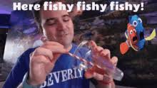After a bit of recovery from my feather trauma, here is buitreraptor in all it's unenlagiine glory. Here Fishy Fishy Gifs Tenor