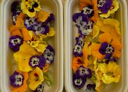 Sydney florist fresh cut flowers are shipped directly from our distribution centres. Edible Flowers Four Acre Farm