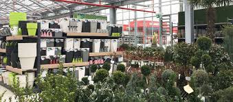 In ihrem garten dienen sie mit der richtigen bepflanzung als sichtschutz. Home Pflanzgefasse Ubertopfe