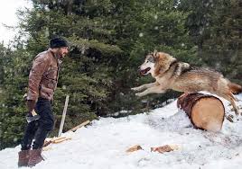 Watch me play garena free fire! Tiger Zinda Hai First Look Photogallery Tiger Zinda Hai Wallpapers Tiger Zinda Hai Pictures