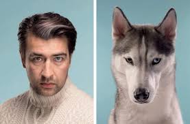 Uncanny Resemblances Between Classic Dog Breeds and Humans Captured by  Gerrard Gethings