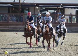 Polo Report