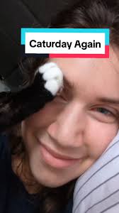 The things I wake up to 🤦 #catsoftiktok #caturday #meow #fyp