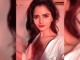 Actress Gehana Vasisth Arrested For Shooting And Uploading Pornographic Content Tollywood