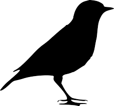 Sylwetka Ptak Natura Ze - Darmowa grafika wektorowa na Pixabay
