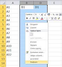 Paragraf, tabel, listă (style type) formatul de numerotare (format): Excel NoÈ›iuni De BazÄƒ Mykey Software