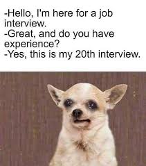 Save and share your meme collection! Job Interviews Dogs Know Your Meme
