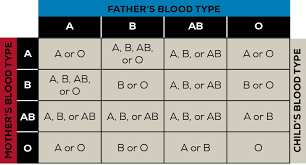 Blood Types Chart Jasonkellyphoto Co