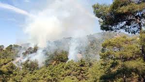 Jun 29, 2021 · hüda par bingöl i̇l başkanı alpaya, yangın bölgesini ziyaret etti hüda par bingöl i̇l başkanı refik alpaya ve beraberindeki heyet, 25 haziran'da başlayan ve büyük oranda kontrol alınan genç ilçesindeki orman yangını bölgesine giderek halka geçmiş olsun dileklerini iletti. Son Dakika Aydin Da Yangin 2 8 Hektar Orman Cayir Cayir Yandi Son Dakika Turkiye Haberleri