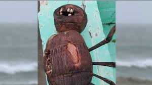 These two strips are then embroidered into two identical forms on the left and right side of the doll, leaving a hole to fill the doll with magic herbs, objects or ordinary moss. Voodoo Doll Speculated To Have Washed Up On Cape Canaveral Beach