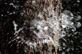However, as long as fruit trees are growing within their recommended hardiness zone, they are heartier than you might think. Winter Treatments For Fruit Trees Beef Up Natural Defenses To Kill Off Disease