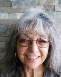 Artwork With Hex Color #dbdbdc