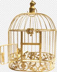cell bird cage jail flower metal jail png pngwing cell bird cage jail flower metal