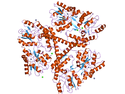 Còrea), è una malattia genetica neurodegenerativa che colpisce la coordinazione muscolare e porta a un declino cognitivo e a problemi psichiatrici. Huntingtin Wikipedia