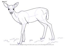 How To Draw A Baby Deer Aka Fawn Drawingtutorials101 Com Deer Drawing Baby Deer Deer Illustration
