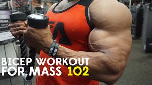 bicep workout for m 102 you