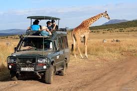 Going green safari tour guide is the best tour guide in tanzania and zanzibar safaris. Viagem Turismo Roteiro E Pacote Para Quenia E Tanzania Photo Safari Expedicoes