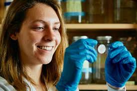 Top Stories of the Decade