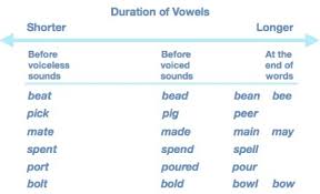 What are the 5 vowels in the english and spanish alphabets? 2