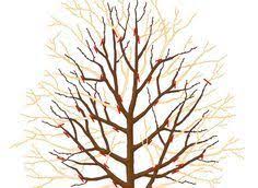 La Taille D Hiver Du Poirier Et Du Pommier Jardin Fruitier Arbre Fruitier Taille Arbre Fruitier
