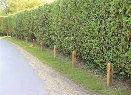 Pin On Fences Garden Dividers