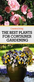 These shady planters, though, are having plenty of fun sans sun. 10 Container Gardening Ideas Best Plants For Containers
