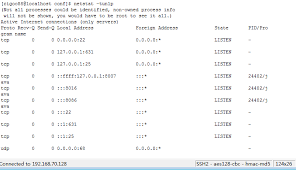 Check port using netstat command. Linux View Port Status Programmer Sought