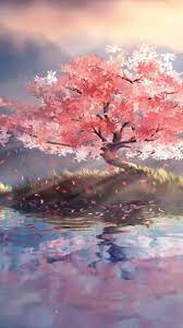 Cherry Blossom Video Cherry Blossoms Illustration Anime Scenery Wallpaper Cherry Blossom Wallpaper