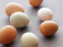 The longer an egg is stored, the more its quality declines, making it less springy and. Why We Really Need To Refrigerate Eggs Fn Dish Behind The Scenes Food Trends And Best Recipes Food Network Food Network