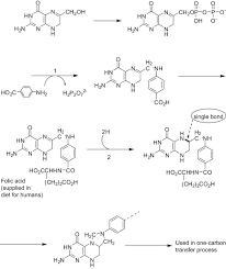 Als der rettungswagen mit blaulicht und sirene losfährt, ist der genaue grund für den einsatz noch unklar. 1 Fluoro 2 4 Dinitrobenzene An Overview Sciencedirect Topics