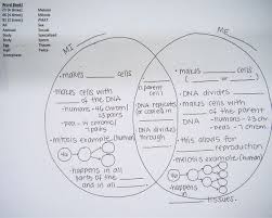 25c441fb2a1586f35a45144566f40991 Jpg 564 451 Biology Worksheet Teaching Biology Mitosis