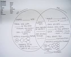 The sister chromatids stay attached in meiosis one but later break during meiosis !! Image Result For Mitosis Meiosis Kids Worksheets Biology Lessons Worksheet Geometry Ratio Mitosis Meiosis Kids Worksheets Worksheets Geometry Ratio Worksheets Math S For 5th Grade Free Math Tuition Algebra Worksheets And Answers