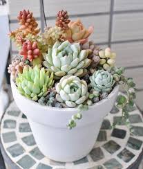 85 minimalist succulents pots arrangement tips to make it more beauty ideas page 2 of 2 succulent garden diy plants succulent pots