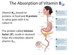 The drawback is that, because b12 is b12 is one of the safest vitamin supplements you can take. Is There Any Point In Taking Oral B12 Supplements If You Have Pernicious Anaemia Quora