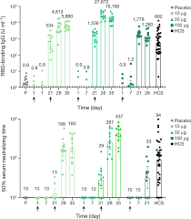That's why it's important for people who have received only one dose to keep practicing the usual precautions. Phase I Ii Study Of Covid 19 Rna Vaccine Bnt162b1 In Adults Nature