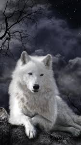 Download wallpapers wolf, black, 4k. Hd Wolf Wallpapers For Android Apk Download