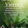 Las más bonitas imágenes de buenos días feliz viernes con flores, rosas y alegría para desear un bendecido día y feliz inicio de fin de semana. 1