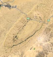 Image result for Daknopholis